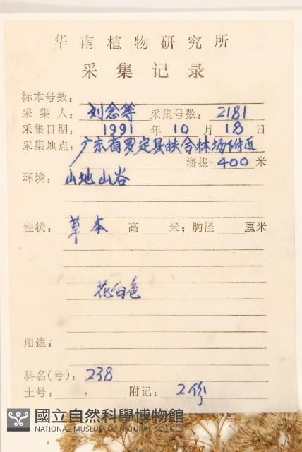 華澤蘭藏品圖，第2張