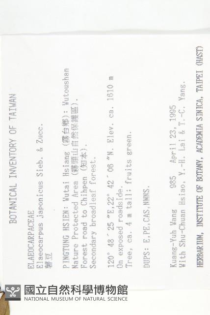 薯豆藏品圖，第2張