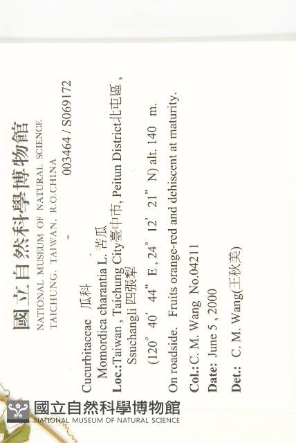 苦瓜藏品圖，第2張