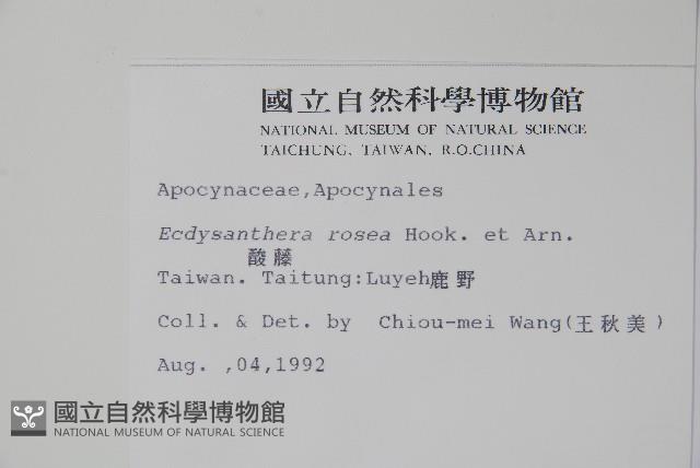 酸藤藏品圖，第2張