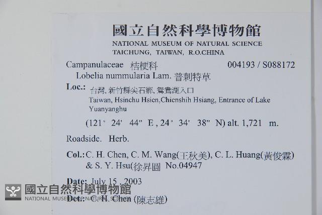 普刺特草藏品圖，第2張