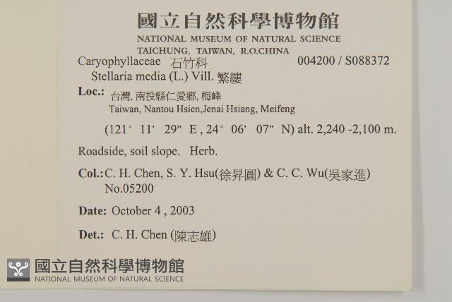 繁縷藏品圖，第2張