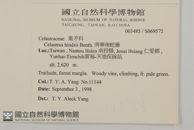 南華南蛇藤，青江藤藏品圖，第2張