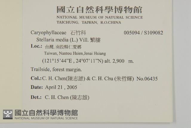 繁縷藏品圖，第2張