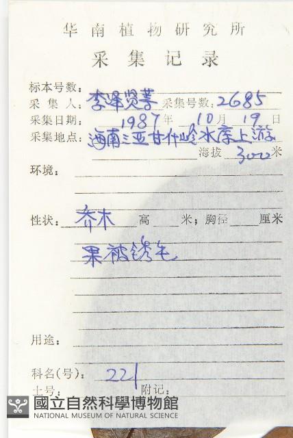 瓊島柿藏品圖，第2張