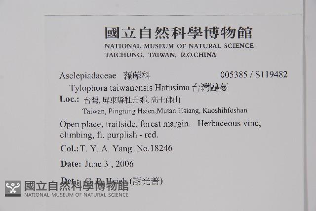 台灣鷗蔓藏品圖，第2張