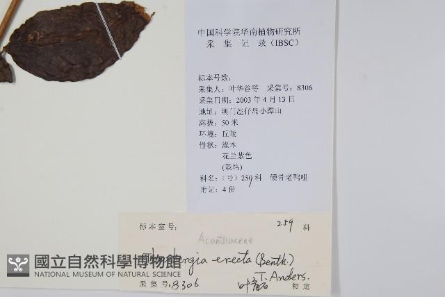 立鶴花藏品圖，第2張