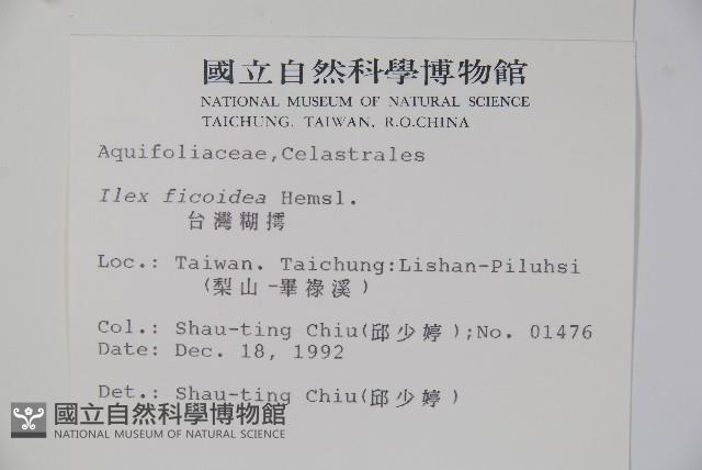 臺灣糊樗藏品圖，第2張