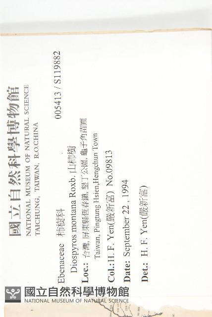 山柿樹藏品圖，第2張