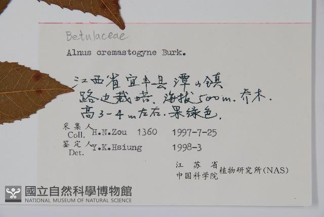 榿木藏品圖，第2張