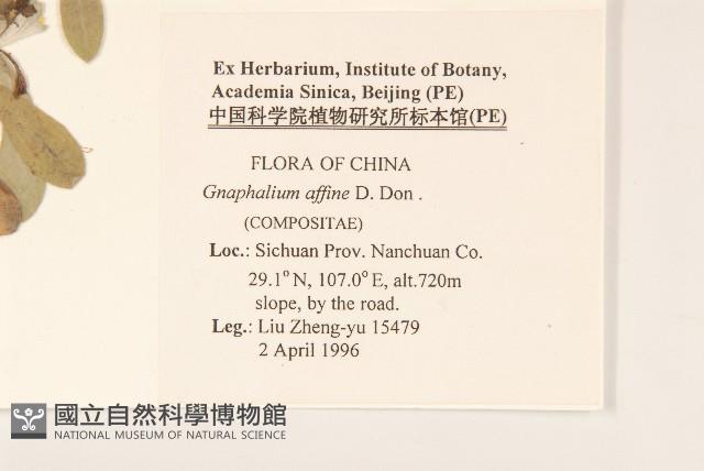 木瓜藏品圖，第2張