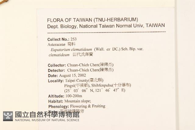 田代氏澤蘭藏品圖，第2張