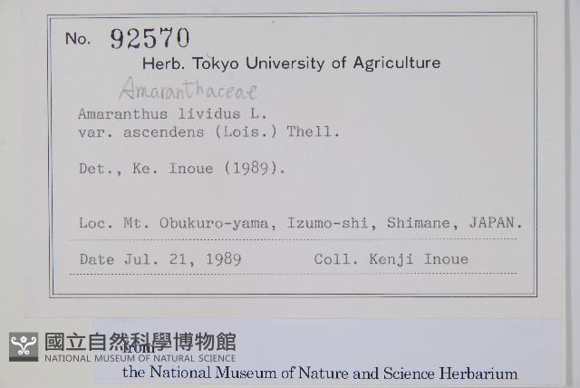 登錄號:S128020藏品圖，第2張