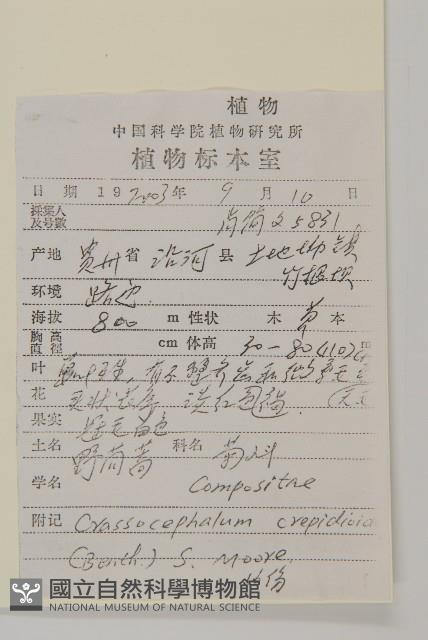 昭和草藏品圖，第2張