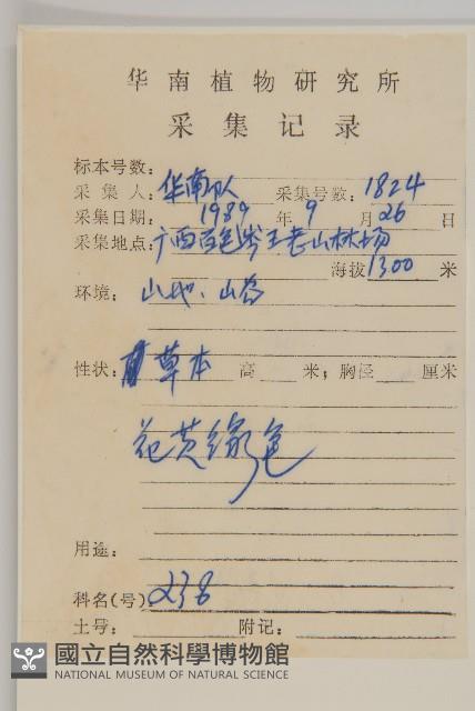 狼把草藏品圖，第2張