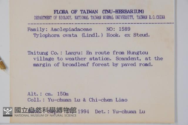 鷗蔓藏品圖，第2張