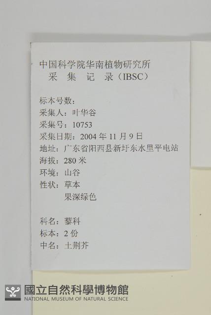 臭杏、土荊芥藏品圖，第2張