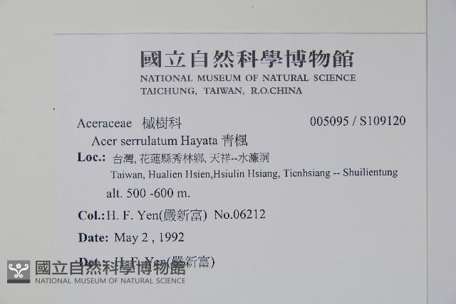 青楓藏品圖，第2張