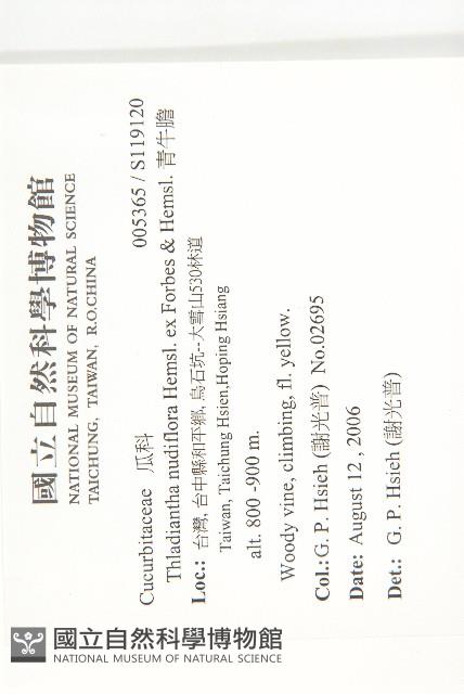 青牛膽藏品圖，第2張