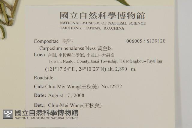 黃金珠藏品圖，第2張