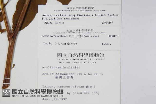 登錄號:S008120藏品圖，第2張