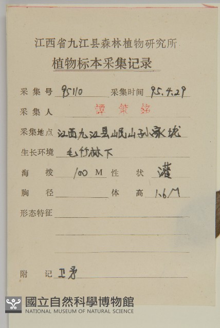 衛矛藏品圖，第2張
