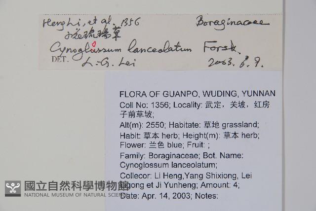 小花倒提壺藏品圖，第2張