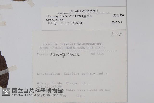 盾果草藏品圖，第2張