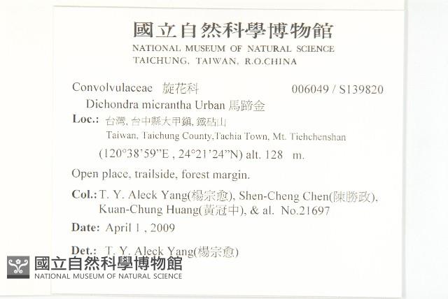 馬蹄金藏品圖，第2張