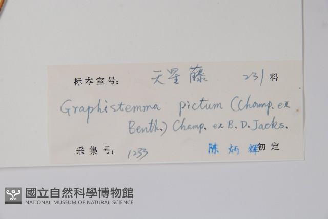 天星藤藏品圖，第2張