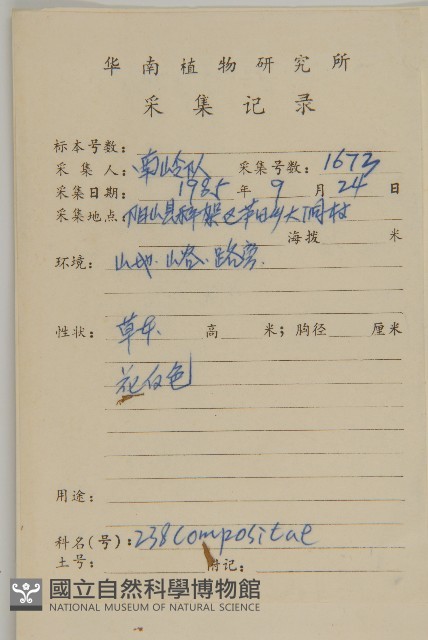 山白蘭藏品圖，第2張