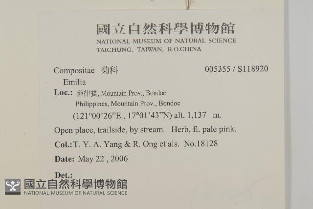 登錄號:S118920藏品圖，第2張