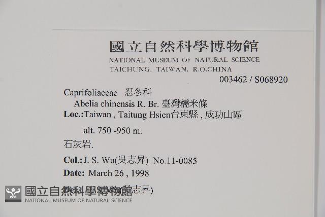 臺灣糯米條藏品圖，第2張