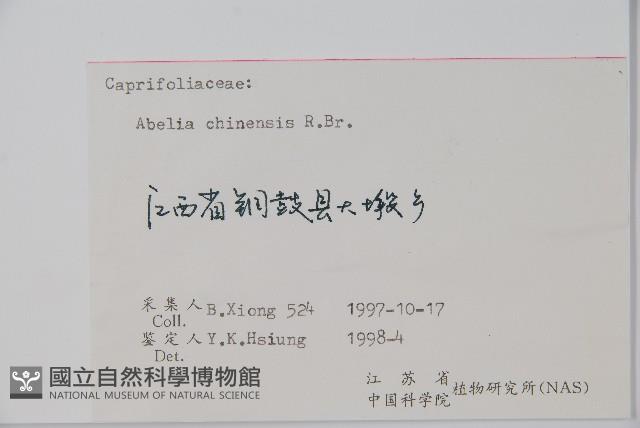 臺灣糯米條藏品圖，第2張