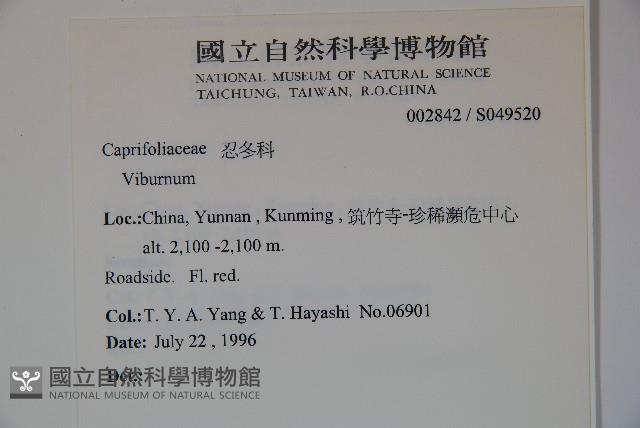 登錄號:S049520藏品圖，第2張