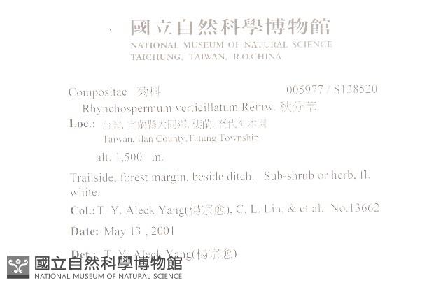 秋分草藏品圖，第2張