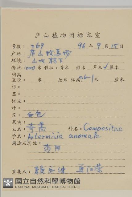 珍珠蒿、奇蒿藏品圖，第2張