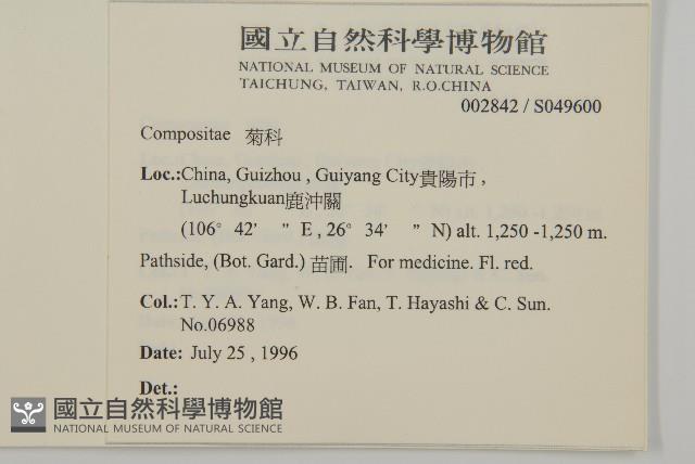 登錄號:S049600藏品圖，第2張