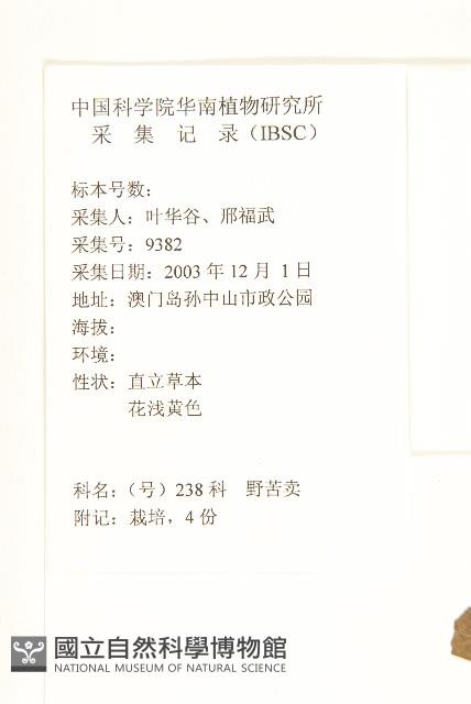 鵝仔草藏品圖，第2張