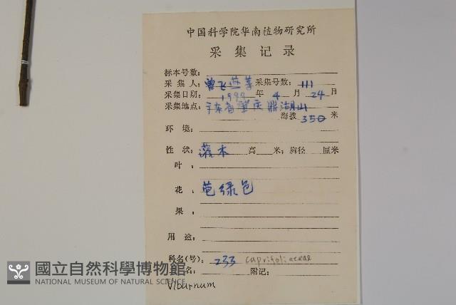 登錄號:S078600藏品圖，第2張