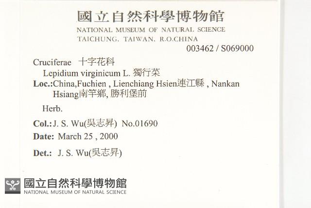 獨行菜藏品圖，第2張