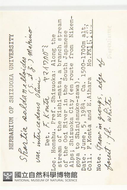 登錄號:S049000藏品圖，第2張