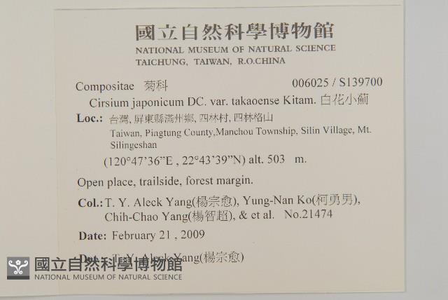 雞觴刺、島薊藏品圖，第2張