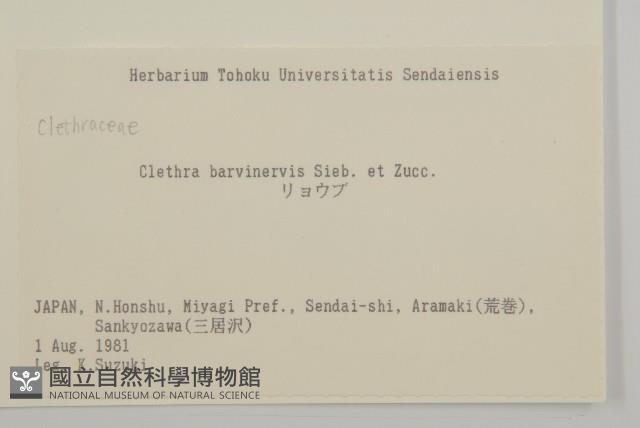 華東山柳藏品圖，第2張