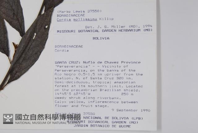 登錄號:S018400藏品圖，第2張