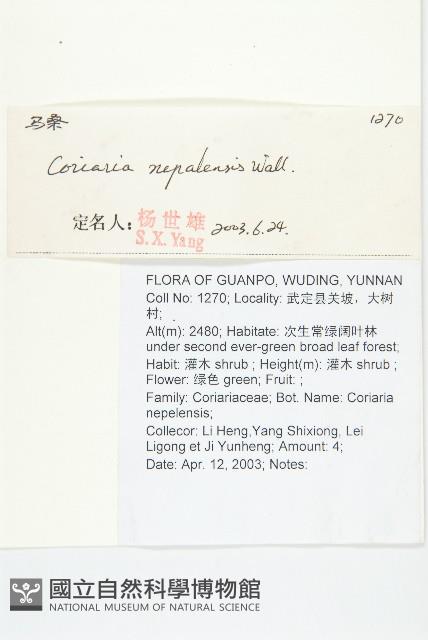 馬桑藏品圖，第2張