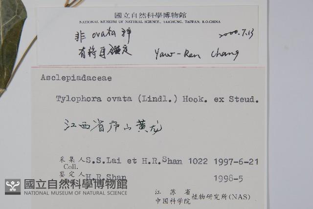 鷗蔓藏品圖，第2張