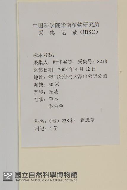 加拿大蓬藏品圖，第2張