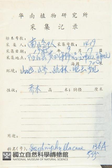 俄氏虎皮楠、蘭嶼虎皮楠、虎皮楠藏品圖，第2張