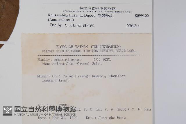 臺灣藤漆藏品圖，第2張